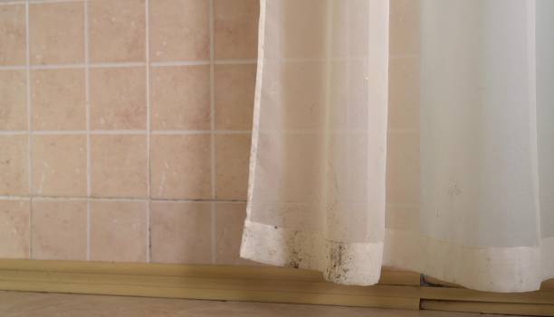 Best Mold Prevention Services  in Bondurant, IA