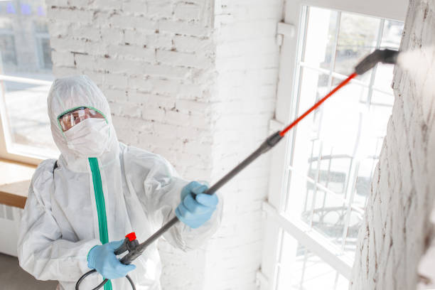 Environmental Consulting for Mold Prevention in Bondurant, IA