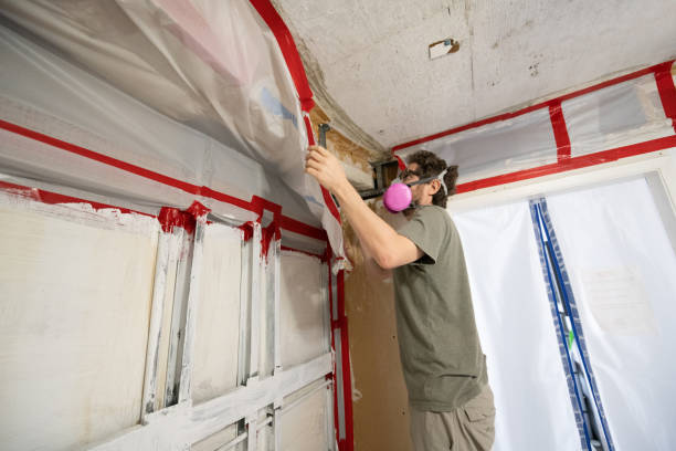 Best Forensic Mold Investigation  in Bondurant, IA