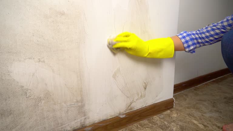 Best Environmental Consulting for Mold Prevention  in Bondurant, IA