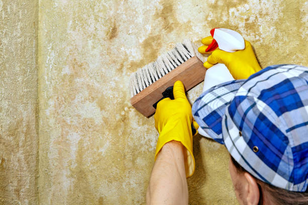 Best Air Quality Testing for Mold Spores  in Bondurant, IA