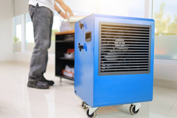 Best Mold Damage Restoration  in Bondurant, IA