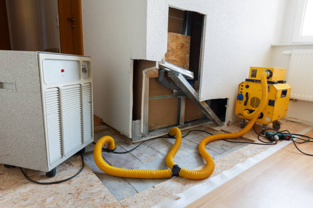 Best Indoor Air Quality Assessment  in Bondurant, IA