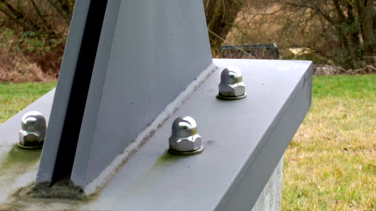 Best Attic Mold Removal  in Bondurant, IA
